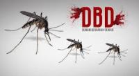 Tahun ini, 6 Warga Bengkalis Meninggal Karena DBD